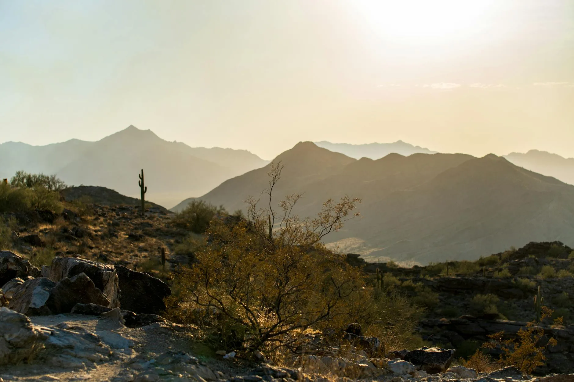 Arizona's Valley of the Sun: Phoenix and Beyond — travelogue presentation by Michael Artman