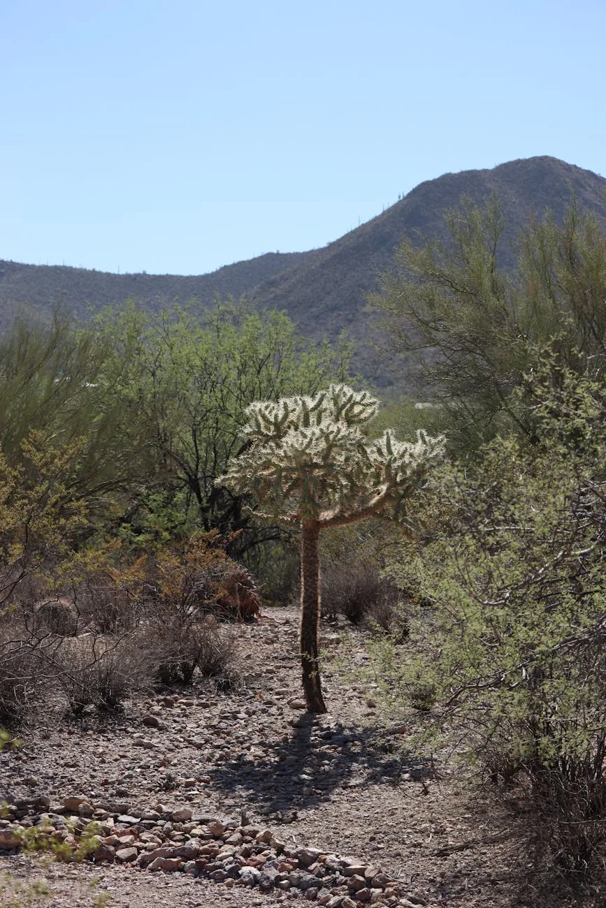 Arizona: Tucson and Beyond travel photography — Off The Beaten Path Travelogues