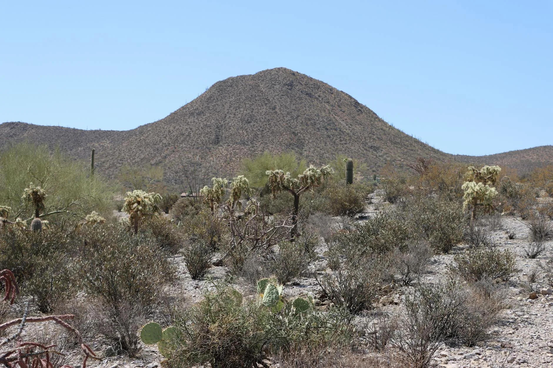 Arizona: Tucson and Beyond travel photography — Off The Beaten Path Travelogues